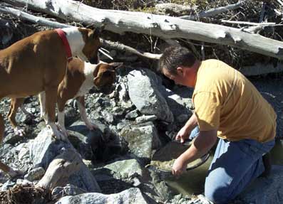 Panning for gold