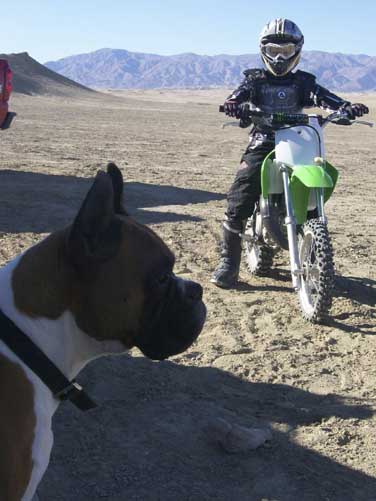 Fun in the desert
