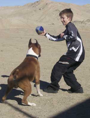 Let's play ball