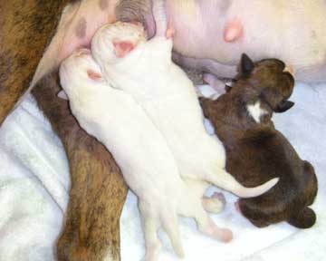 Ramsey -day1
