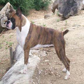 Ramsey on Rock