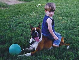 Playing Ball with Icee