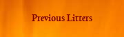 Previous Litters