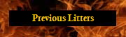 Previous Litters
