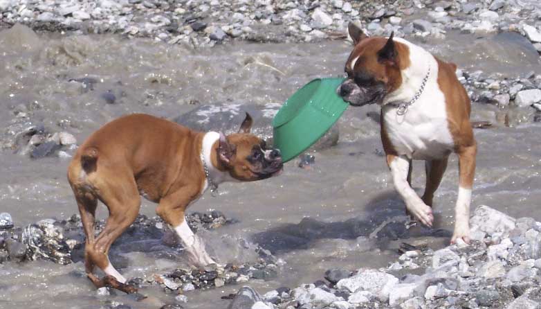Tug o War